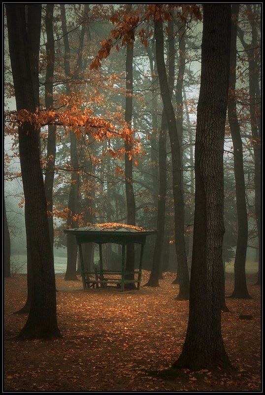 bulgaria, sofia  фото превью