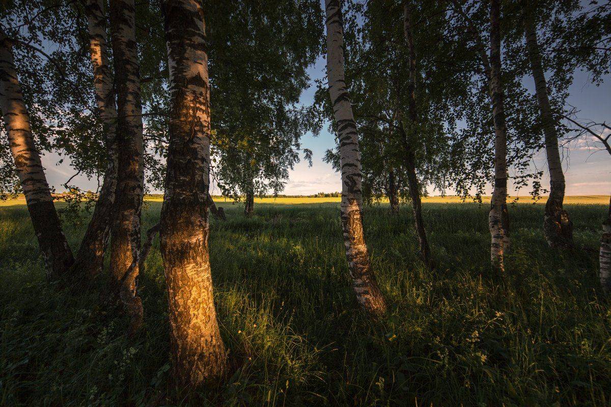 , Евгений Цветков