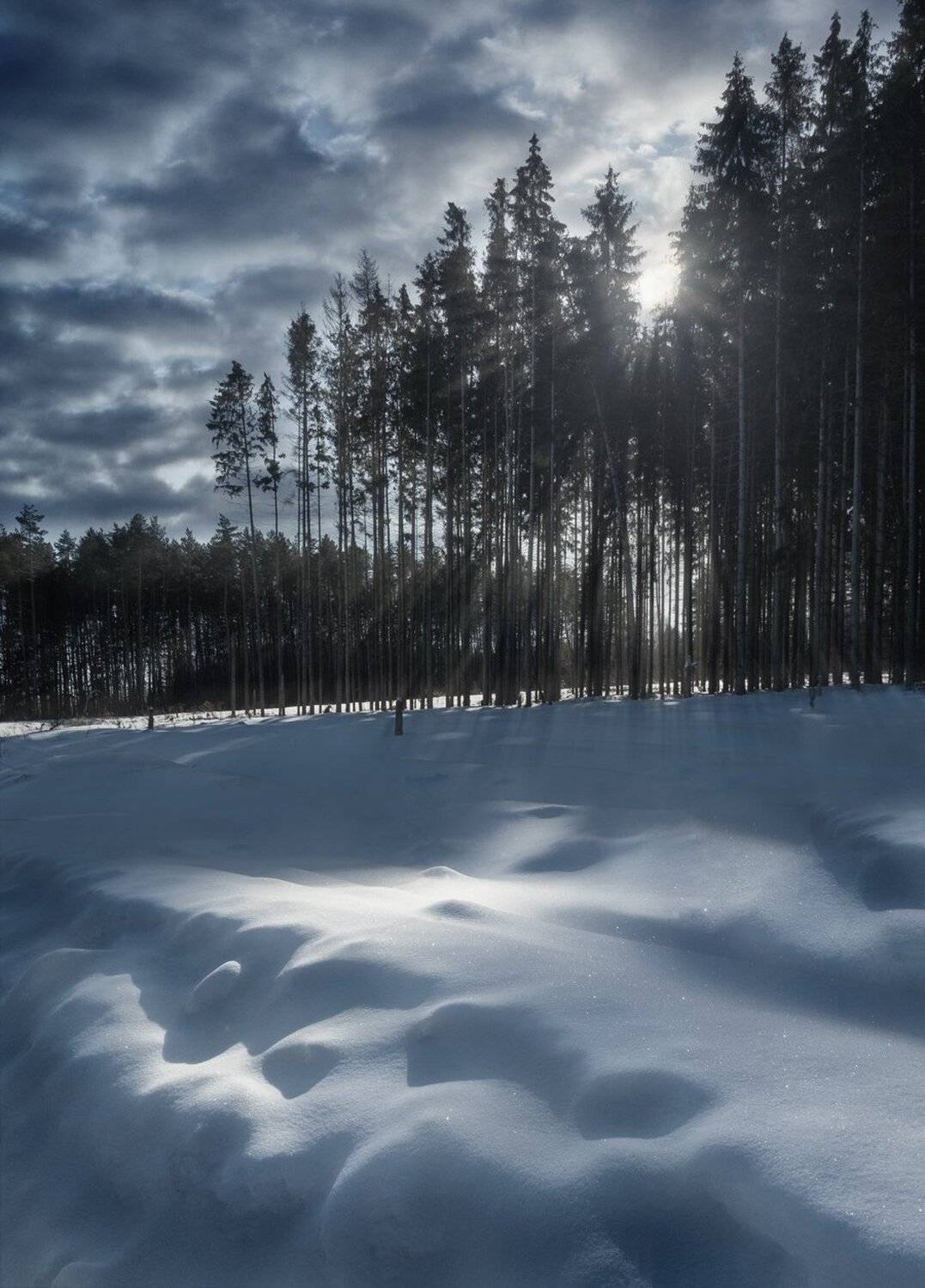 , Баранов Олег