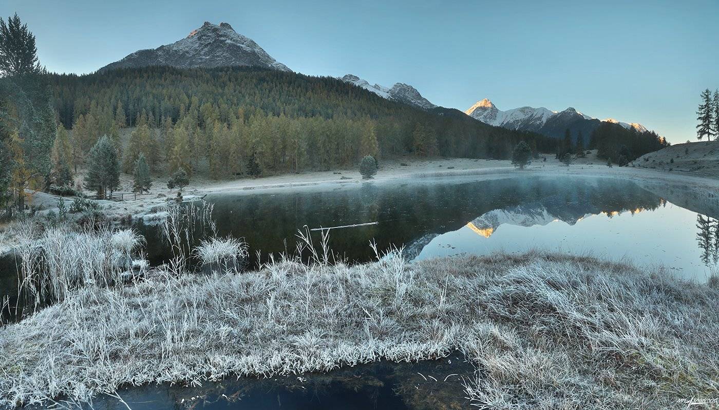 swiss, Матвеев Николай