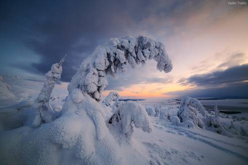 В снежных оковах