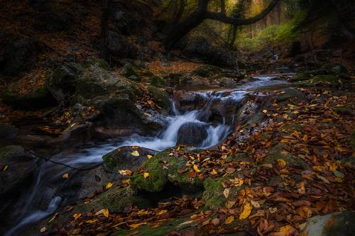 Течение времени...