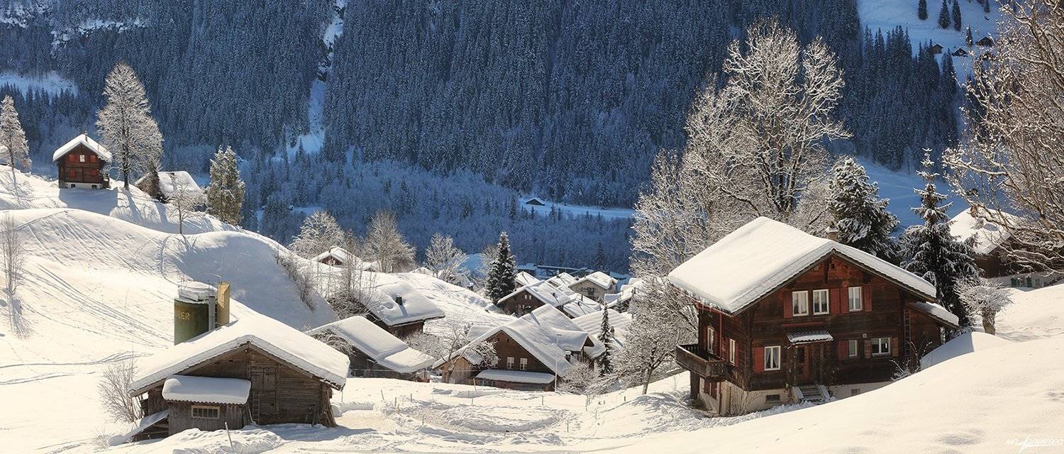 swiss, Матвеев Николай