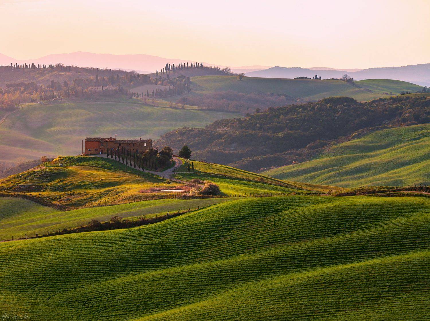 landscape, Alaa Seif Eddine