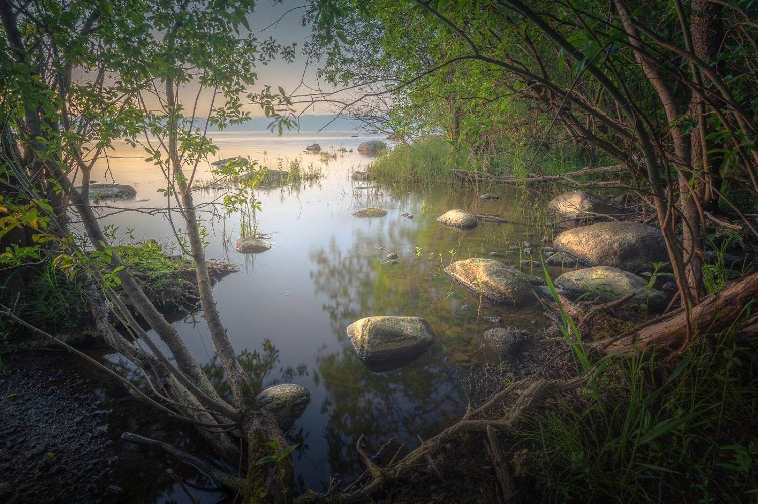 , Светлана Морозова