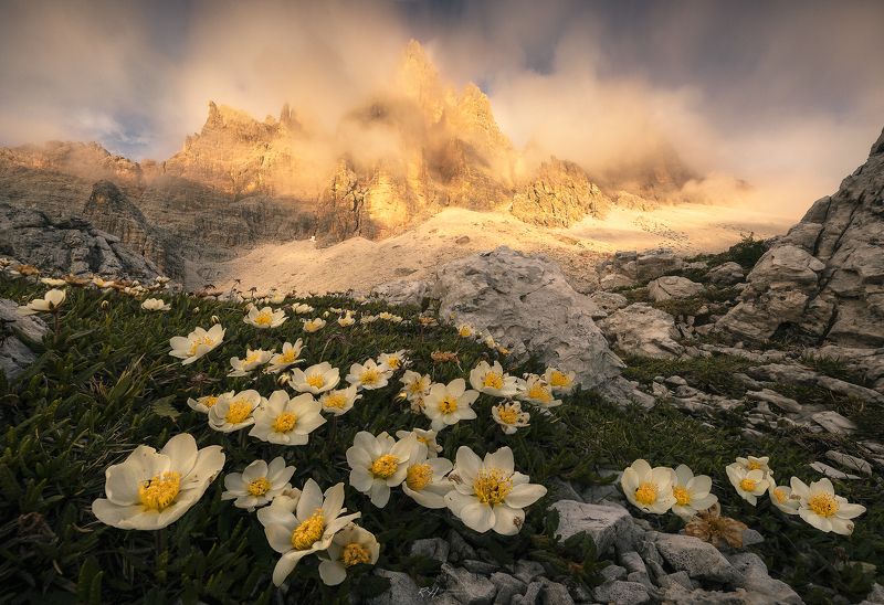 #landscape #mountains #dolomites #italy #sunset \