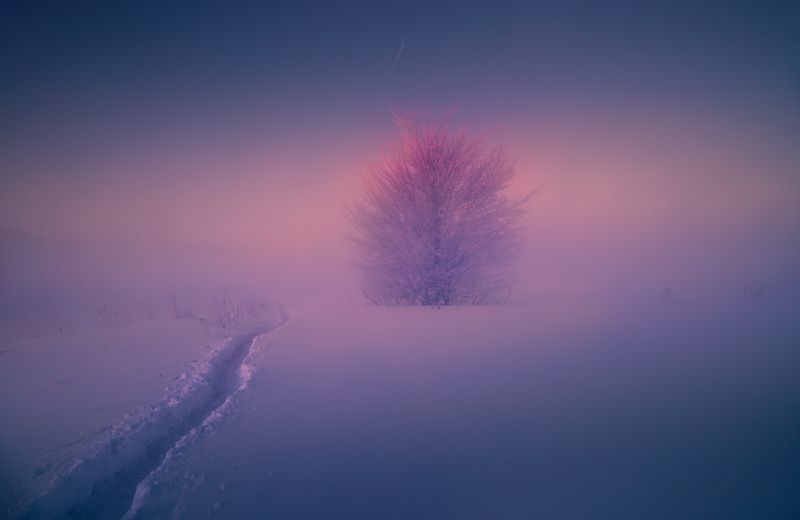 Маячок в снегах ... фото превью