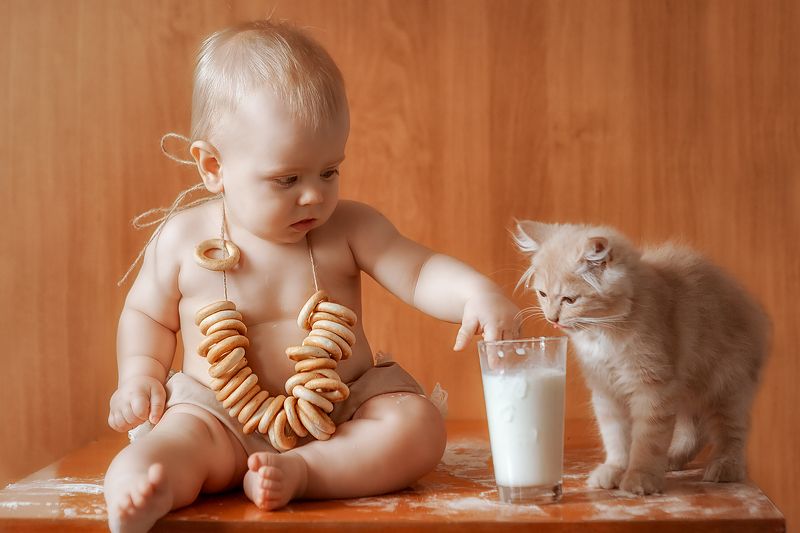 Котята фото превью