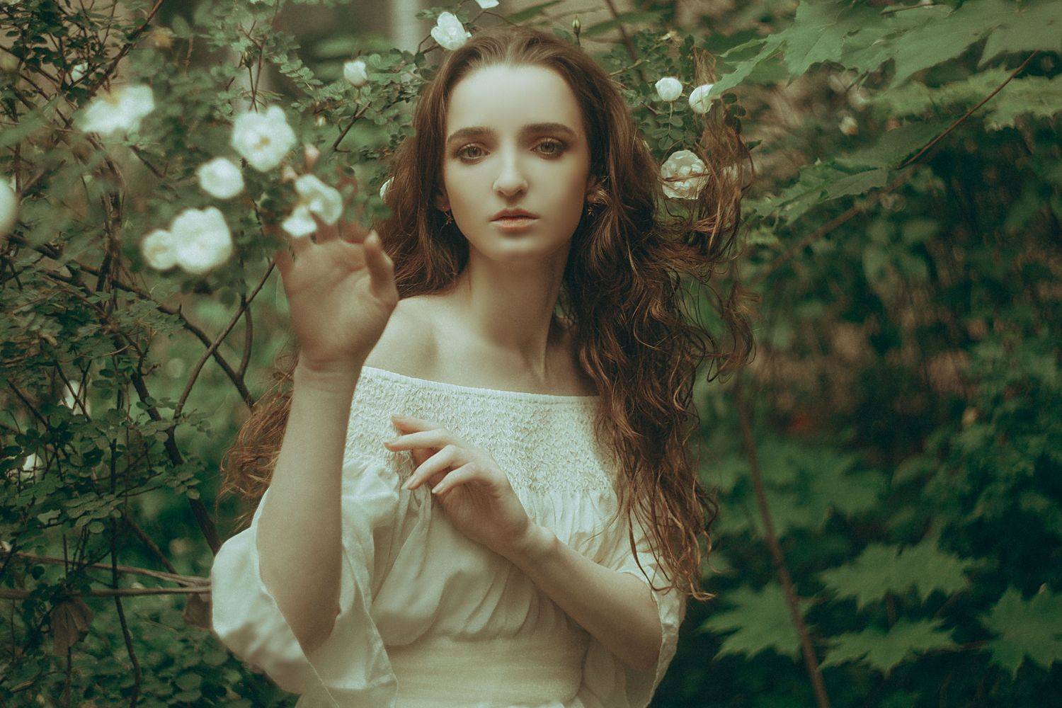 , Marie Dashkova
