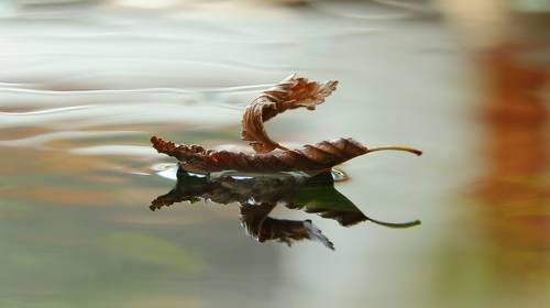 В добрый путь.