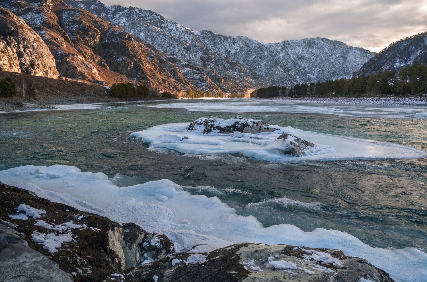 россия, горный алтай, река катунь, зима, лёд, утро, Андрей Поляков