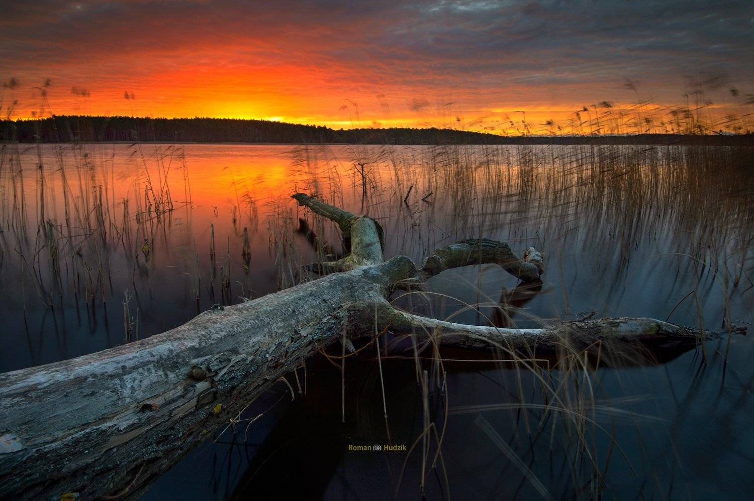 Kociewie, Poland, landscape, sunrise, lake, forest, water, tree,, Roman Hudzik