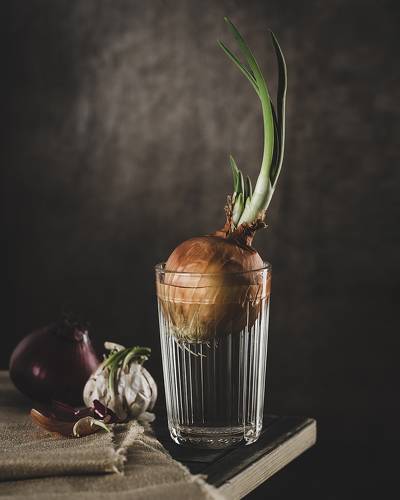 homemade onions