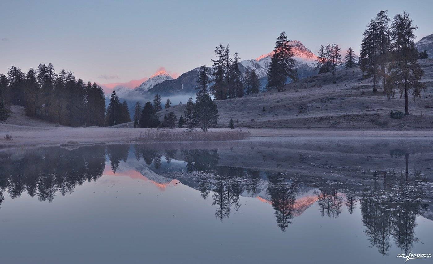 swiss, Матвеев Николай