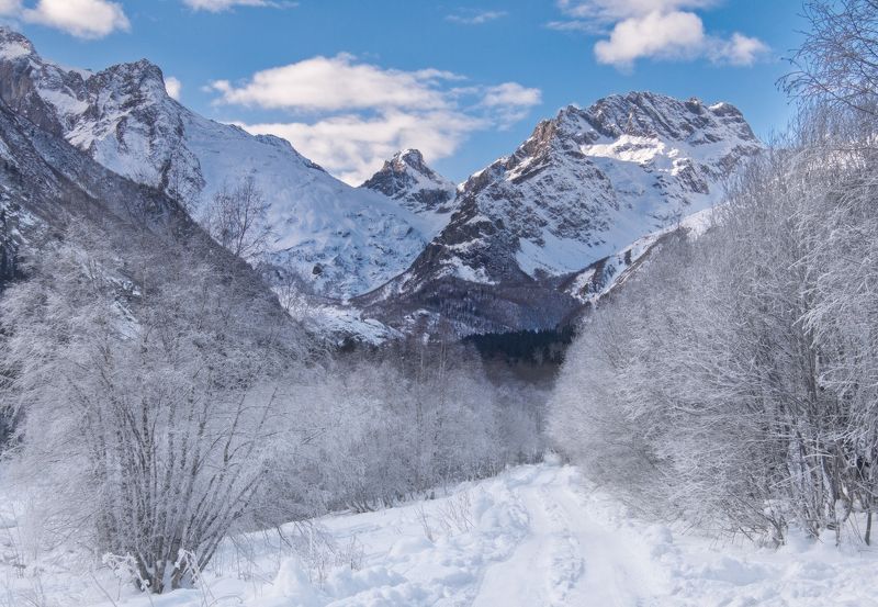 Дорога к мечте фото превью