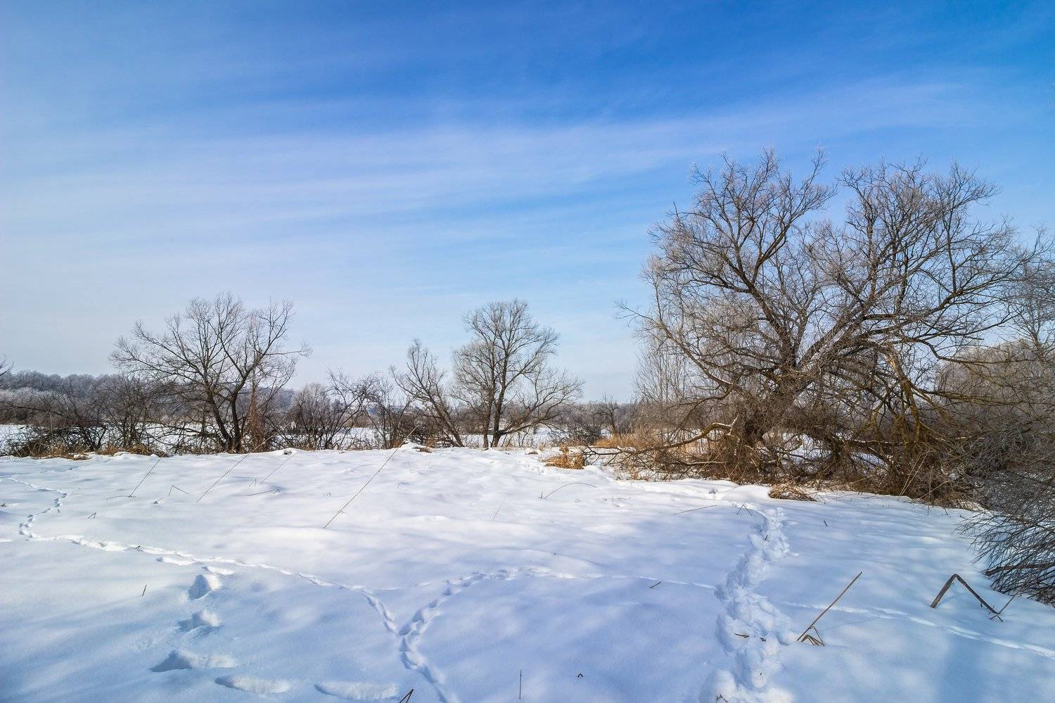 зима, природа, Руслан Востриков