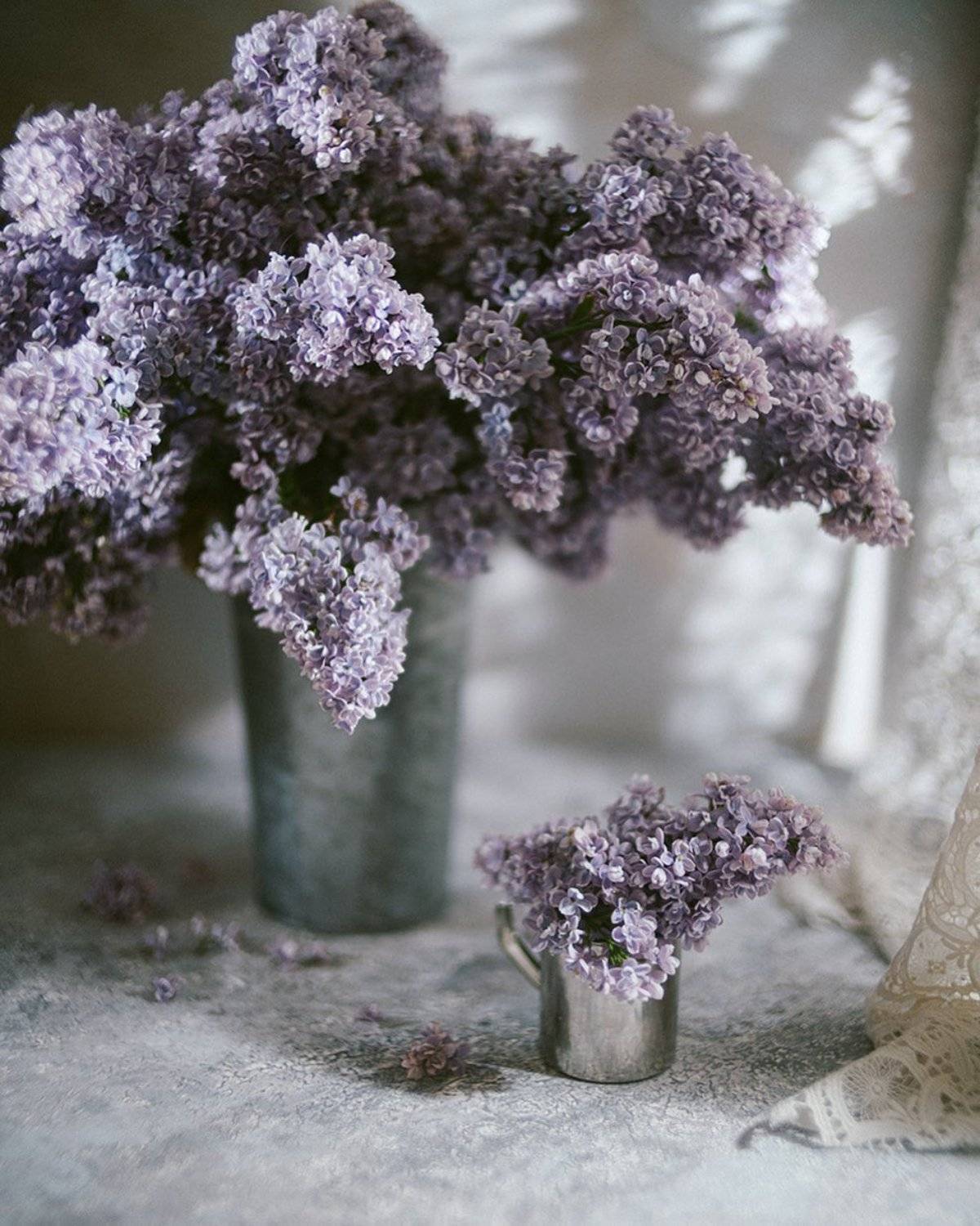 букет, лето, свет, цветы, сирень, Анастасия Зубкова