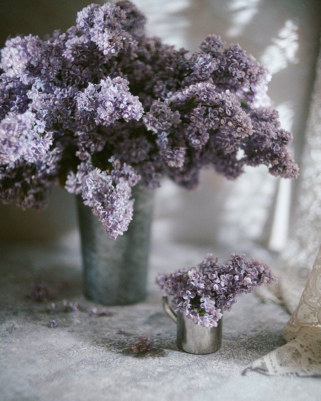 букет, лето, свет, цветы, сирень  фото превью