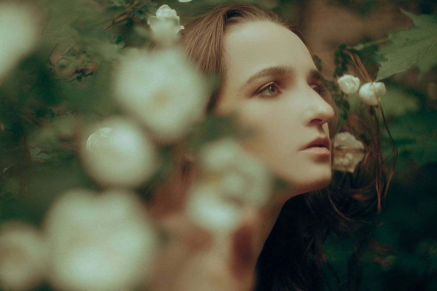 , Marie Dashkova
