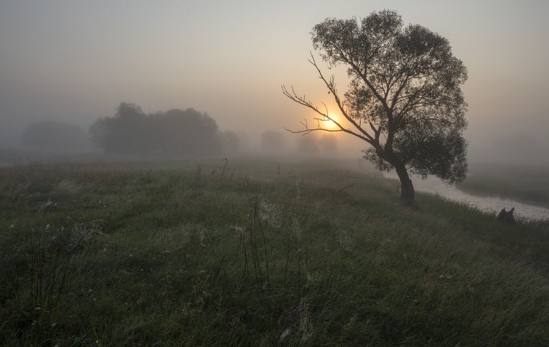 v bezmolvii... фото превью