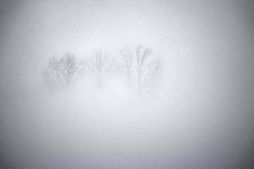 Графичная зима