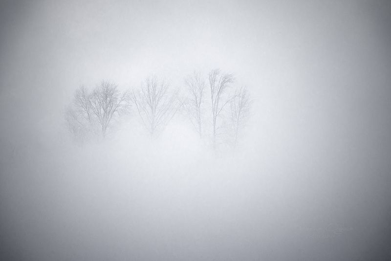 зима, енисей, туман, зимний монохром, мороз, сибирь Графичная зима фото превью