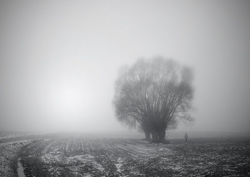 cold morning... фото превью