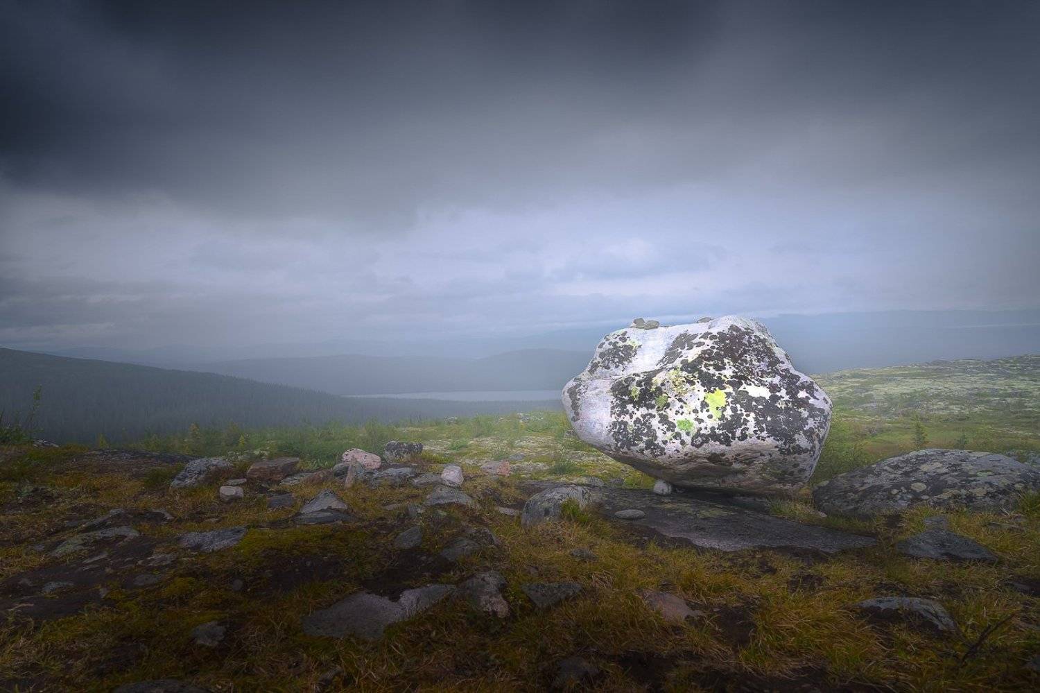 , Светлана Морозова