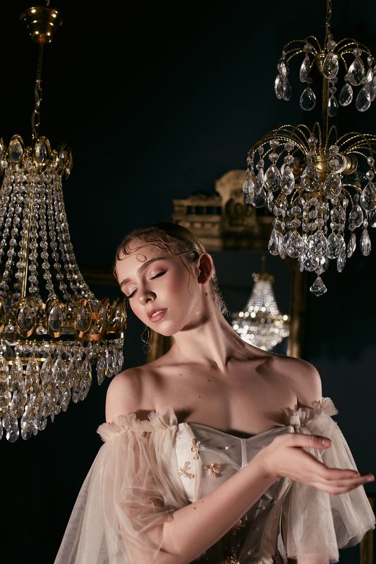 Swan фото превью