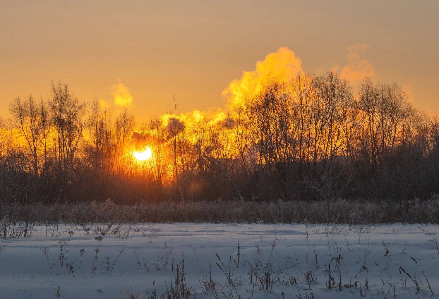 , Константин Дэм