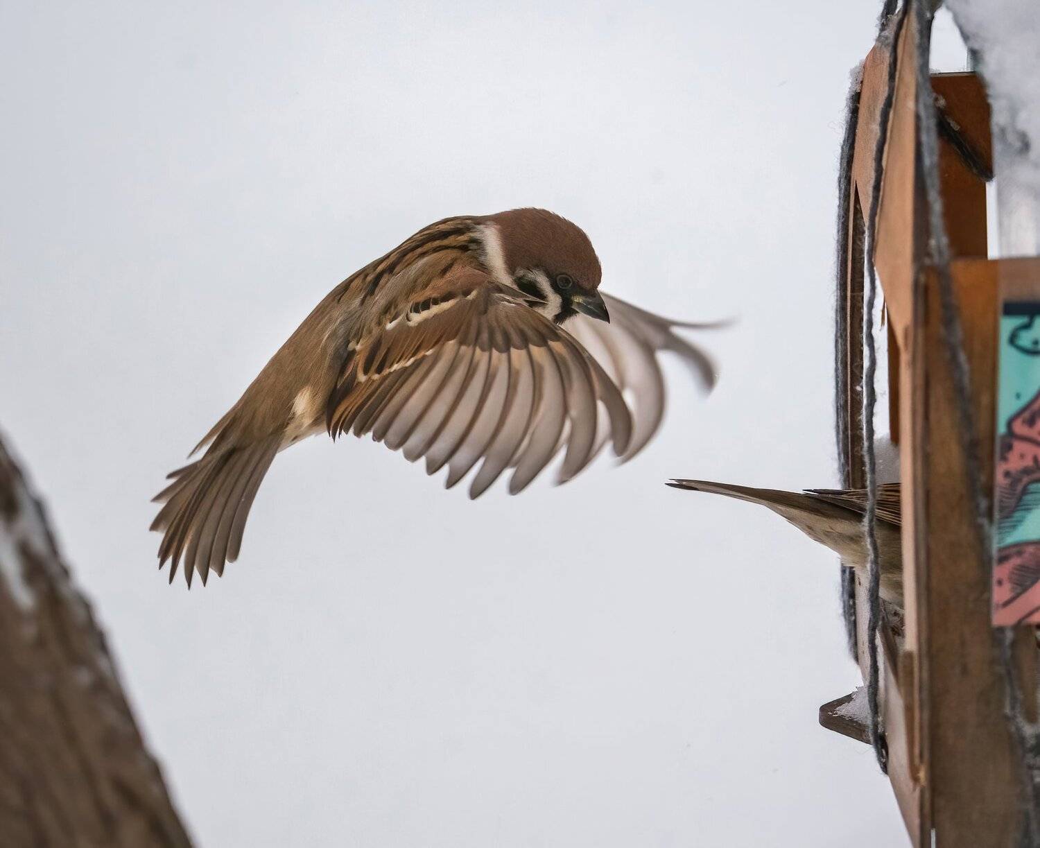 , Константин Дэм