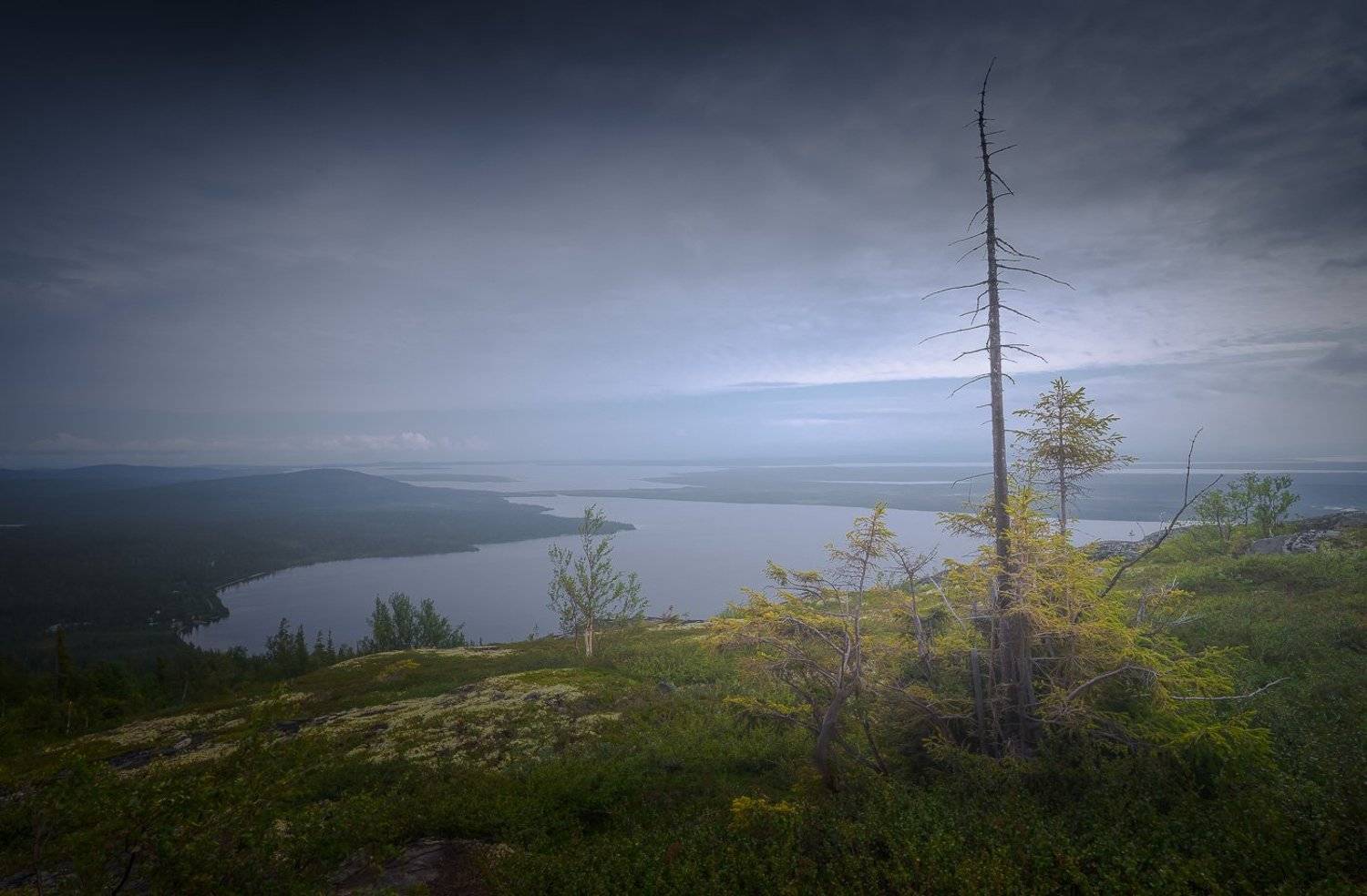 , Светлана Морозова