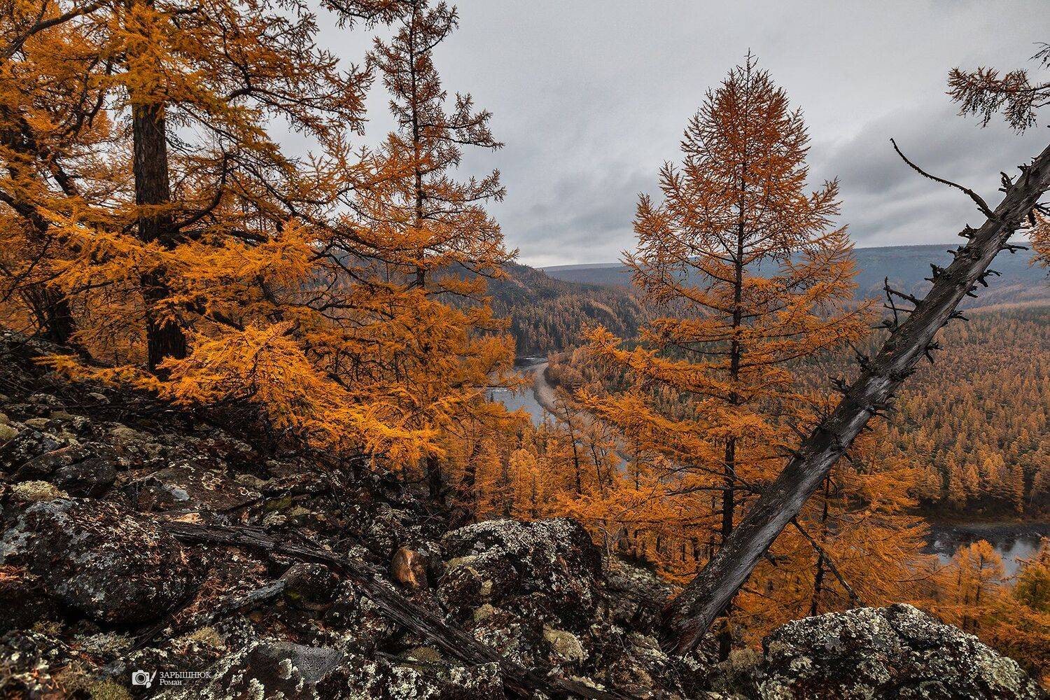 якутия, осень, курумник, горы, река, чульман, нерюнгри, тайга, дальний восток, Зарышнюк Роман
