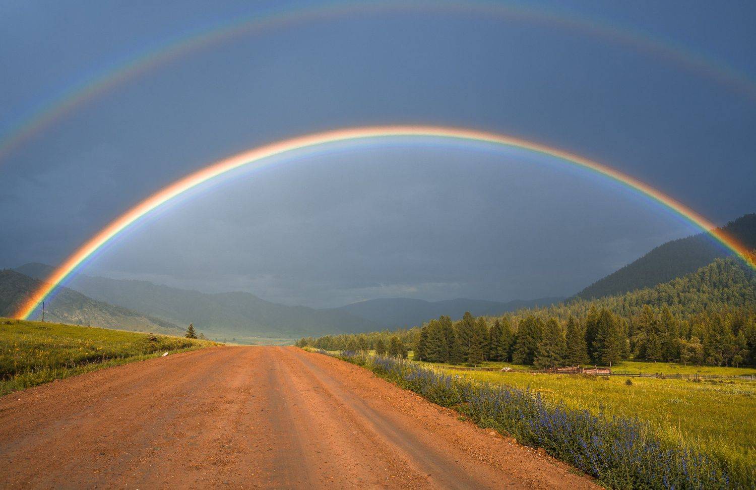 россия, горный алтай, дорога, дождь, радуга, Андрей Поляков