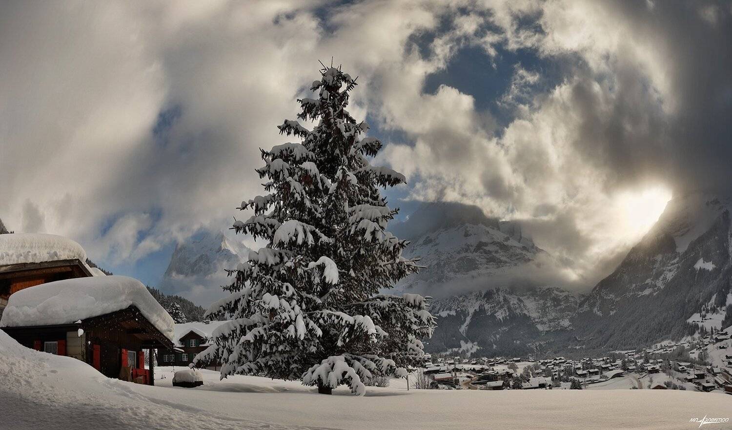 swiss, Матвеев Николай