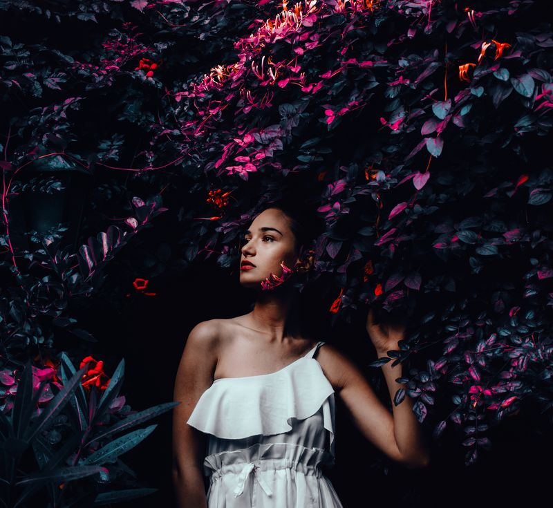 . фото превью