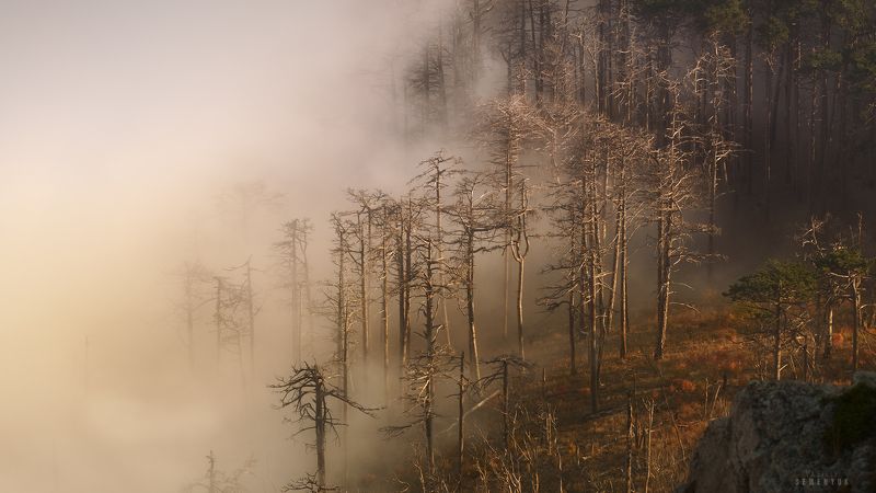 крым, ялта, никитская яйла, вечер, облака, туман, горы, crimea, mountain, mist, clouds, sunset. Облачное наступление. фото превью