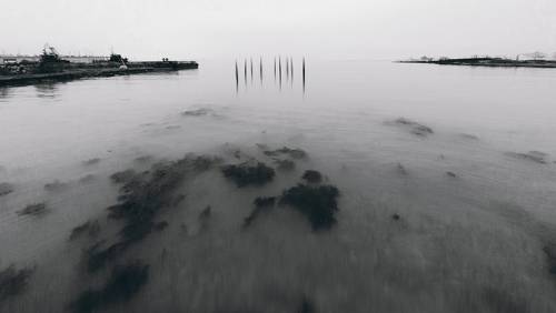 Декабрьский дзен.