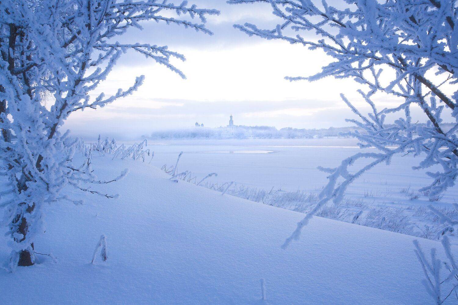 , Антон Кононов