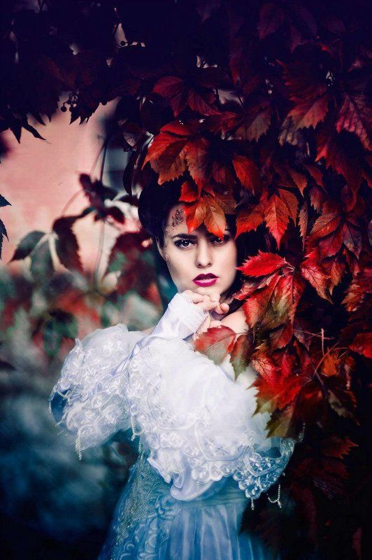 девушка, кусты, портрет Ксения фото превью