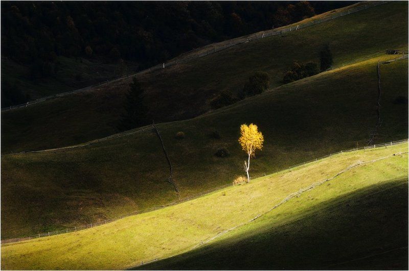 Осенняя рапсодия... фото превью