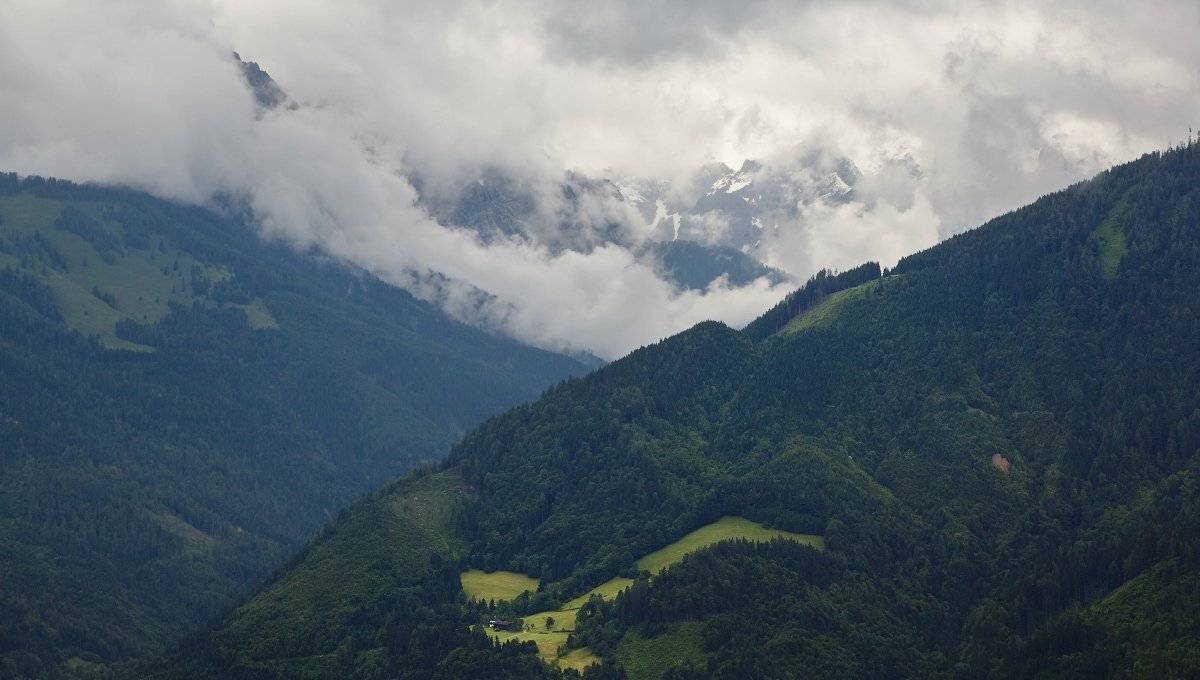 , Александр Удовиченко