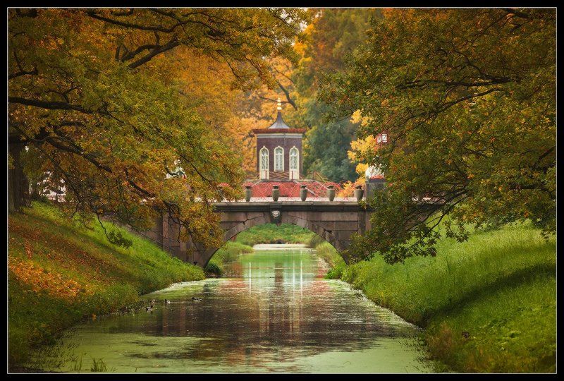 пушкин, царское, село, александровский, парк, осень ... про Осень... фото превью