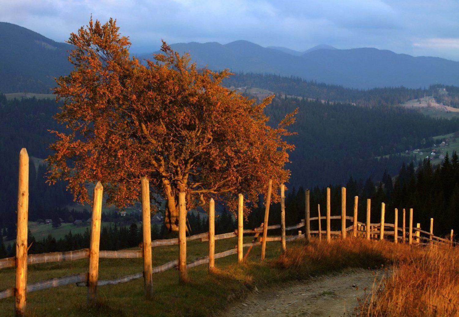 , Михаил Глаголев