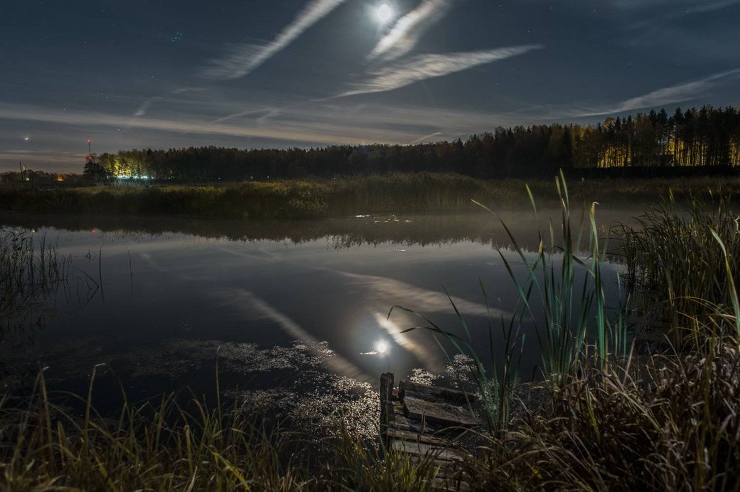 , Евгений Цветков