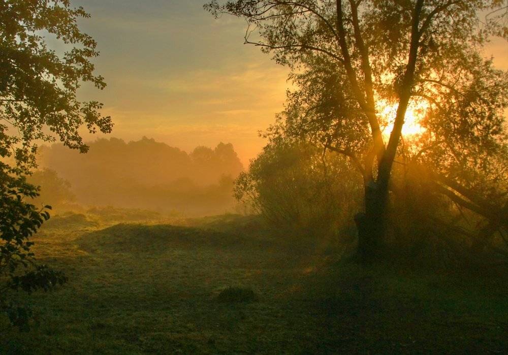 , Валерий Кондратов