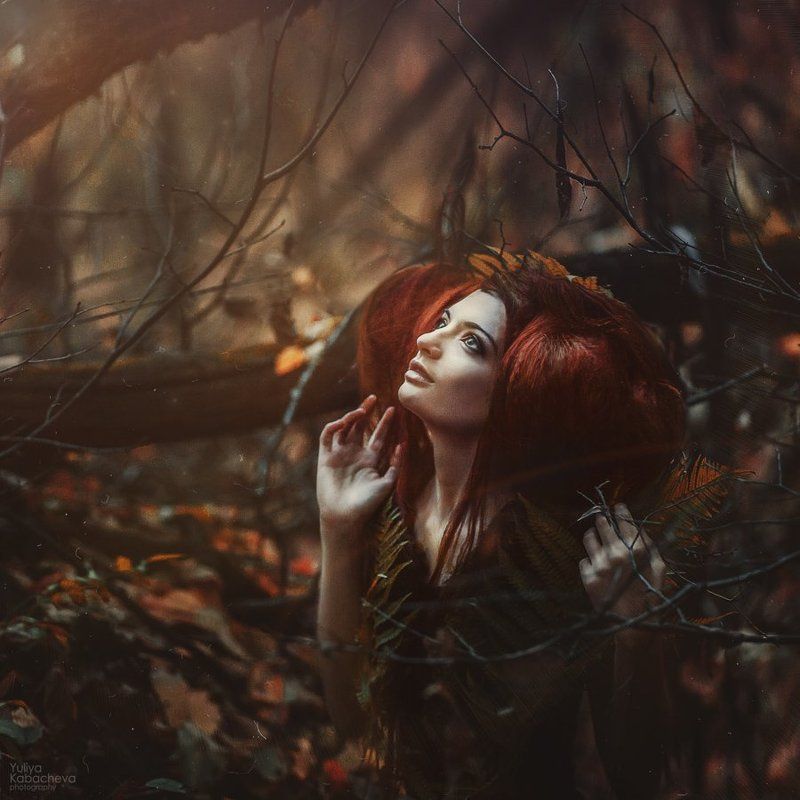 Лесная фото превью