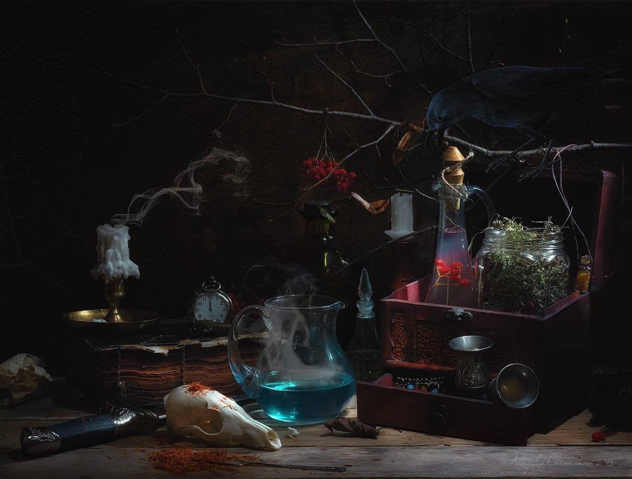 , Светлана Л.