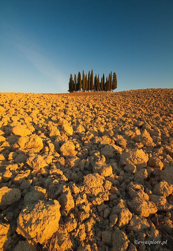 Tuscan autumn II фото превью