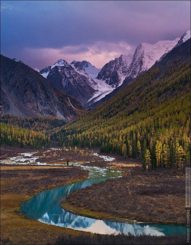 ~ Шавлабенд ~ фото превью